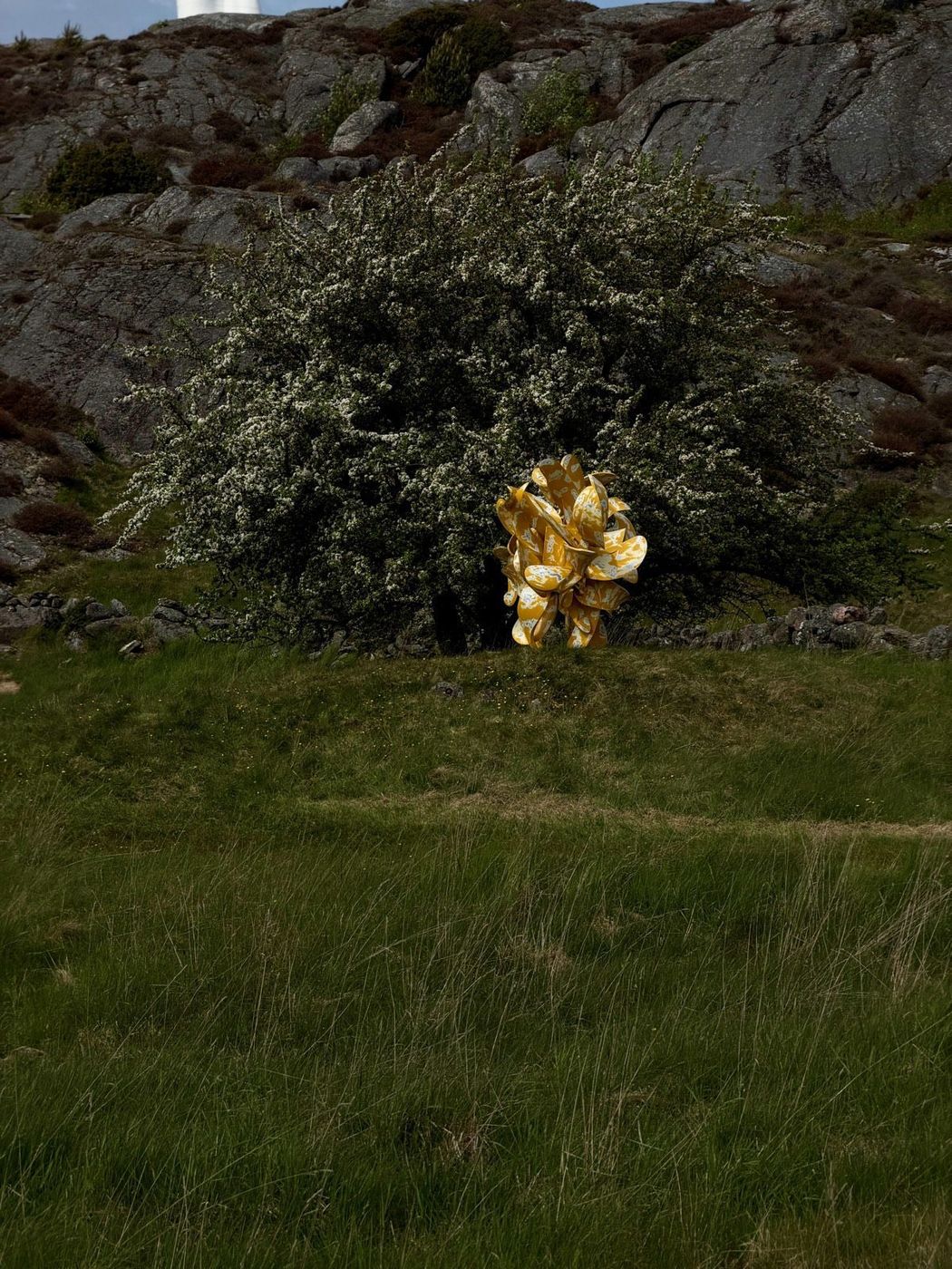 Tony Cragg, Secretions — gilded variant.